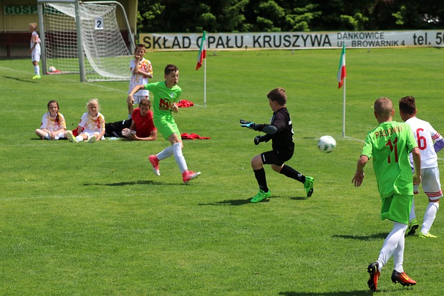 能型球员 能型球员