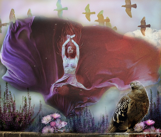 籃球愛好者 籃球愛好者