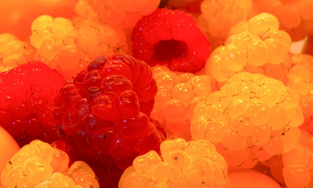 意选择上海 意选择上海